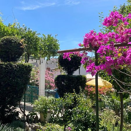 Apartman Jokic Daire Selce Dış mekan fotoğraf